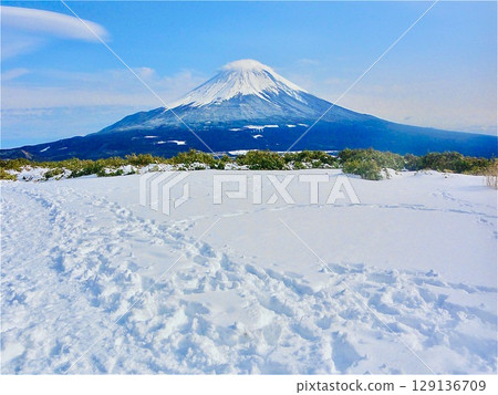 Snow-capped Mount Fuji as seen from the snowy fields at the summit of Mount Ryugatake 129136709