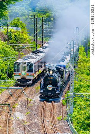 C61次牽引的SL群馬水上號與211系列列車交錯而過(水上-上牧) C61次牽引的SL群馬水上號與211系列列車交錯而過(水上-上牧) 129136881