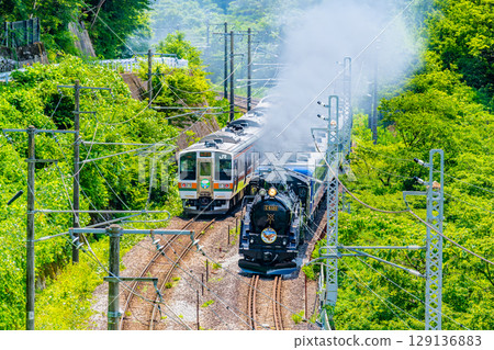 C61次牽引的SL群馬水上號與211系列列車交錯而過（水上-上牧） 129136883