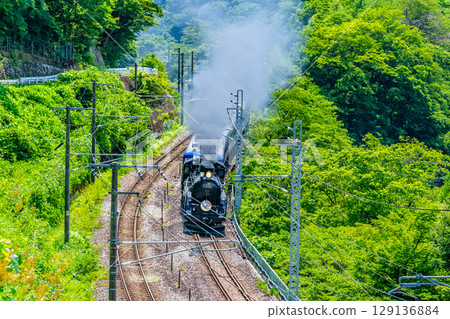 C61牽引蒸汽機車 群馬水上 (Minakami-Kamimaki) 129136884