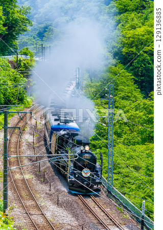 C61牽引蒸汽機車 群馬水上 (Minakami-Kamimaki) 129136885