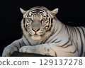 White Tiger   129137278
