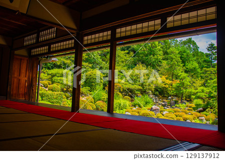 [Kyoto Scenery] Toji-in Temple: A quiet garden alone soothes the soul 129137912