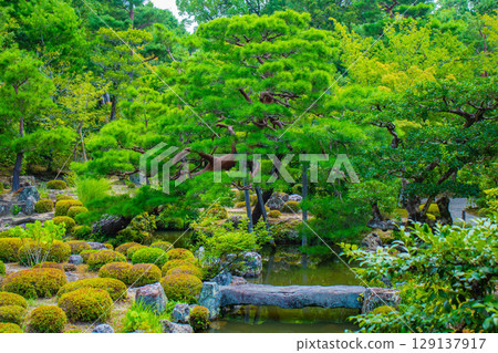 【京都風景】同持院:靜謐的庭園獨享慰藉 【京都風景】同持院:靜謐的庭園獨享慰藉 129137917