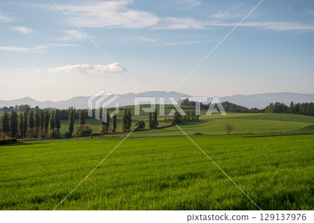 Autumn green wheat field and mountains Autumn green wheat field and mountains 129137976
