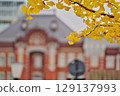 Ginkgo trees lined the street leading to Tokyo Station 129137993