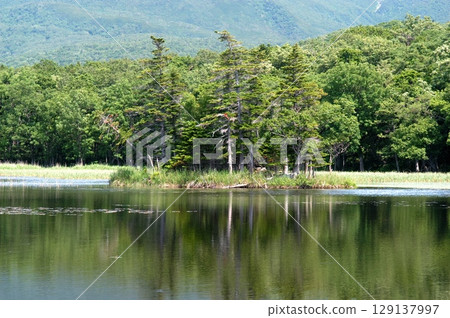 Lake Shiretoko surrounded by fresh greenery 129137997