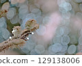 Snowy Merry Christmas 129138006