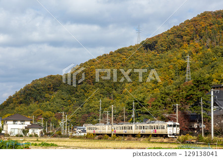 Sage cream 115 series 129138041