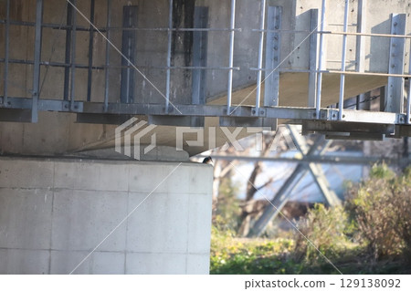 A kingfisher searching for food in the shade under the bridge 129138092