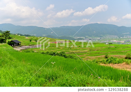 The lush greenery of the Obasute rice terraces in early summer The lush greenery of the Obasute rice terraces in early summer 129138288