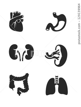 Human internal organs icons set stock illustration 129139964