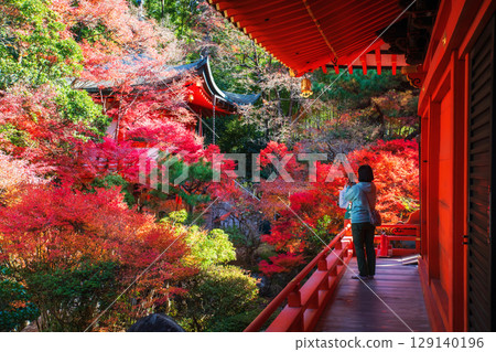Tourist woman on Bishamondo balcony photo pagoda in fall, Kyoto Tourist woman on Bishamondo balcony photo pagoda in fall, Kyoto 129140196