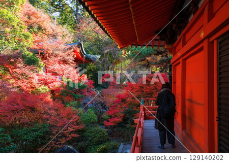 Japanese woman at Bishamondo temple view pagoda at fall, Kyoto 129140202