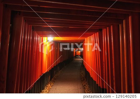 Seamless Torii gate archway light up of Fushimi Inari Taisha shrine at night, Kyoto, Japan. Famous travel destination for thousand Torii Gates on peak fall season in December. Seamless Torii gate archway light up of Fushimi Inari Taisha shrine at night, Kyoto, Japan. Famous travel destination for thousand Torii Gates on peak fall season in December. 129140205