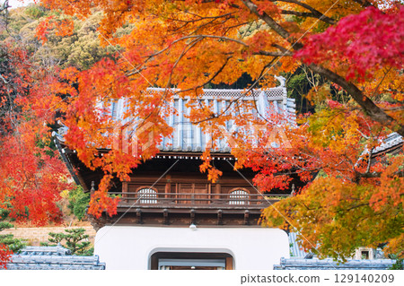 Koshoji Temple entrance with beautiful autumn leaf colors in Uji 129140209