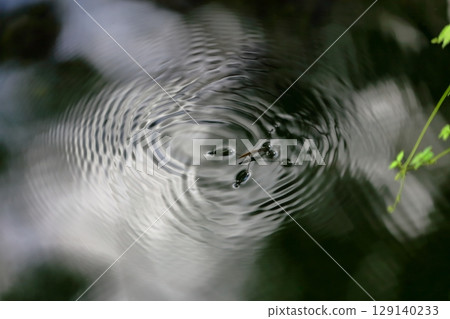 Amenbo on the water surface 129140233