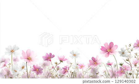 Gentle watercolor frame background with blooming cosmos | Pretty pink and white flowers 129140302