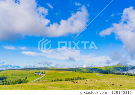 [Nagano Prefecture] The view of the Yamamotogoya hut from Mt. Ushibuse on the Utsukushigahara Plateau 129140315