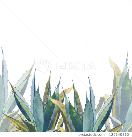 Watercolor Aloe Vera Border. Hand Painted Botanical Frame for Organic Design 129140810
