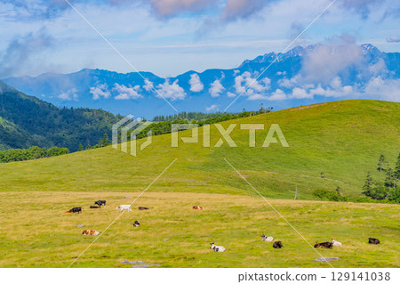 [長野縣] 從美原高原的牛伏山眺望北阿爾卑斯山 129141038