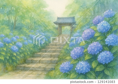 通往寺廟的繡球花路 129141083