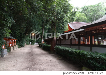 大山純神社：本殿後方（愛媛郡今治市大三島町） 129141124