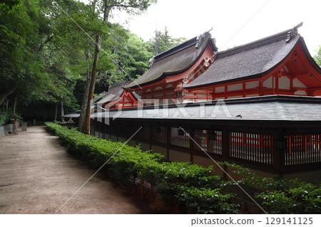 大山純神社：本殿後方（愛媛郡今治市大三島町） 129141125