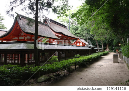 大山純神社：本殿後方（愛媛郡今治市大三島町） 129141126