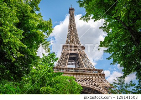 Eiffel Tower Framed by Lush Green Trees Against a Blue Sky with Clouds, Paris, France 129141508