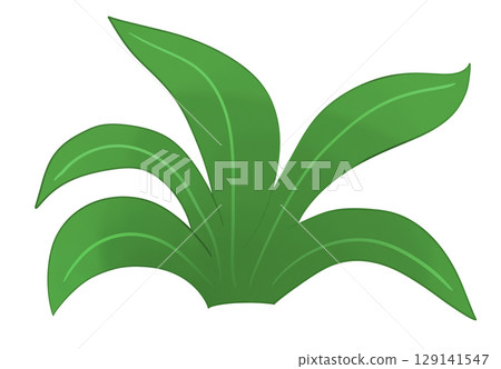 Beautiful leaf illustrations 129141547
