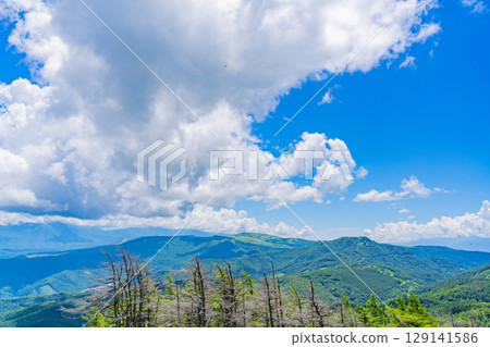[Nagano Prefecture] Utsukushigahara Plateau - View of the view towards Mt. Kurumayama from Mitake Chaya on the Venus Line 129141586