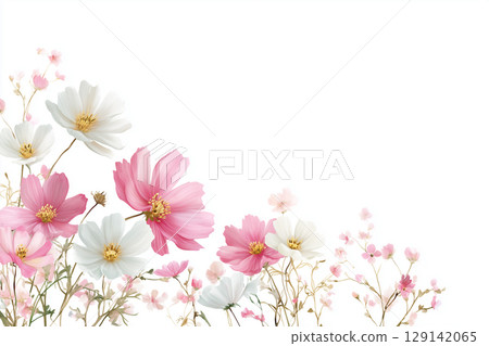 柔和光線包覆下的波斯菊 | 優雅純淨的秋花插畫素材 柔和光線包覆下的波斯菊 | 優雅純淨的秋花插畫素材 129142065