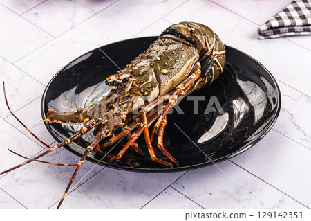 Raw wild fresh spiny lobster Raw wild fresh spiny lobster 129142351