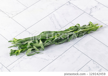 Fresh green estragon aroma stem Fresh green estragon aroma stem 129142459