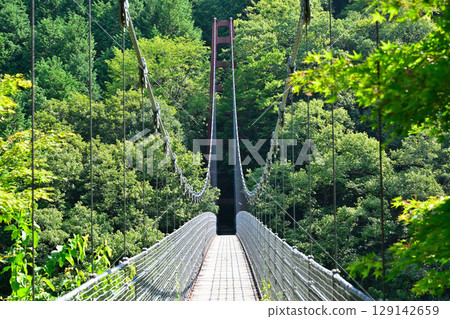Tara Gorge suspension bridge 129142659