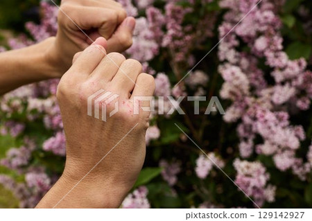 Hands Gently Clenched in Front of Beautiful Lilac Blooms and Flowers in Full Blooming Glory 129142927