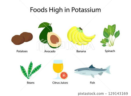 illustration of biology and food, Foods high in Potassium, Potassium is an essential mineral that is needed by all tissues in the body, Potassium Rich Foods 129143169