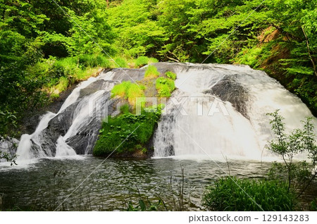 Kamabuchi在春天的秋天 Kamabuchi在春天的秋天 129143283