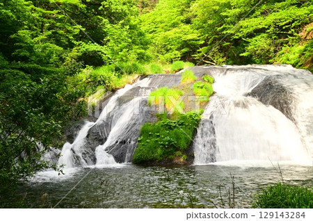 Kamabuchi在春天的秋天 Kamabuchi在春天的秋天 129143284