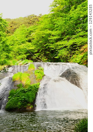 Kamabuchi在春天的秋天 129143285