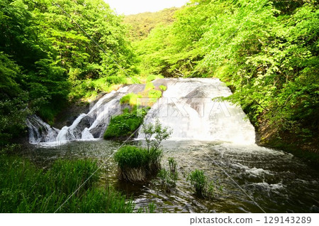 Fall of Kamabuchi in spring Fall of Kamabuchi in spring 129143289