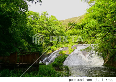 Fall of Kamabuchi in spring Fall of Kamabuchi in spring 129143290