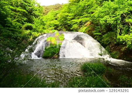 Kamabuchi在春天的秋天 Kamabuchi在春天的秋天 129143291