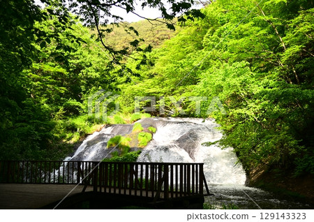 Fall of Kamabuchi in spring Fall of Kamabuchi in spring 129143323