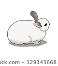 Rabbit 129143668