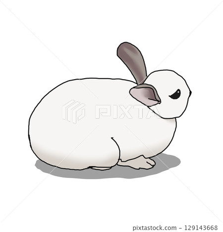 Rabbit 129143668