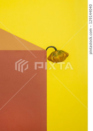 Geometric still life with ripe squash on a colored background Geometric still life with ripe squash on a colored background 129144040