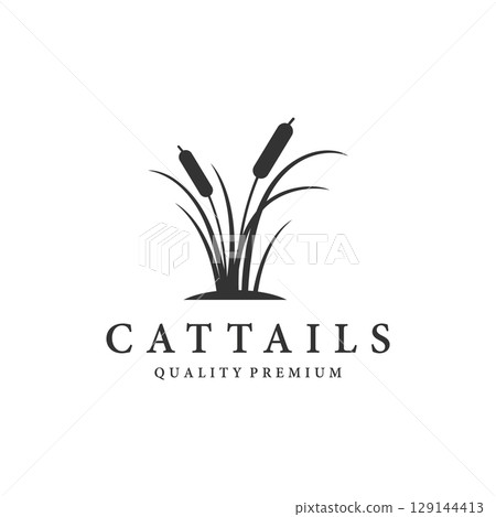 Cattails or reed river grass plant logo template design premium quality. 129144413