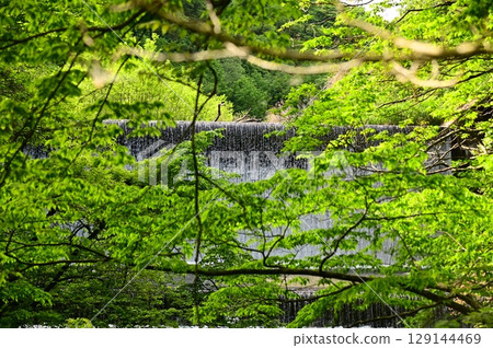 花卷溫泉的新綠 花卷溫泉的新綠 129144469